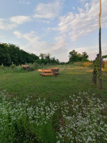Das kleine Weinberghäuschen in Garabonc - Jägerpince (Das kleine Weinberghauschen in Garabonc - Jagerpince) in 高勞邦茨