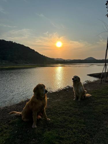 เติมฝัน แคมป์ปิ้ง in Khao Chamao