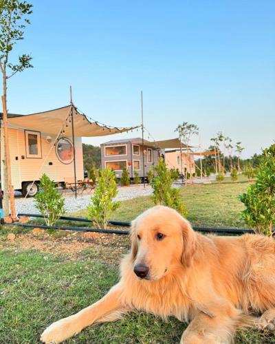 เติมฝัน แคมป์ปิ้ง in Khao Chamao