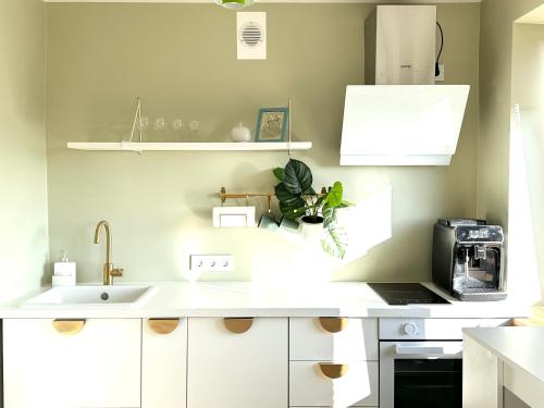 Létesítmények, Green studio Valmiera in Valmiera
