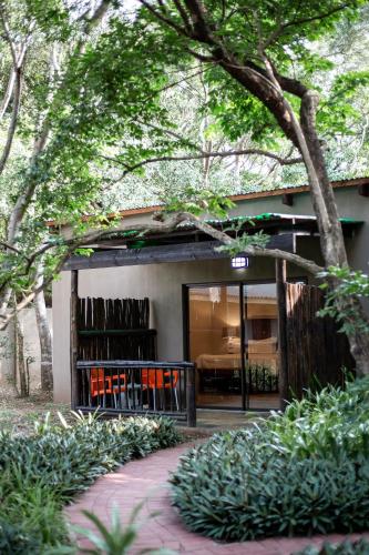 Emdoneni Lodge with Zululand Cat Conservation Project Emdoneni Lodge with Zululand Cat Conservation Project