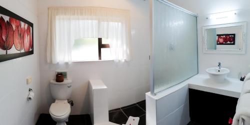 Emdoneni Lodge with Zululand Cat Conservation Project Emdoneni Lodge with Zululand Cat Conservation Project