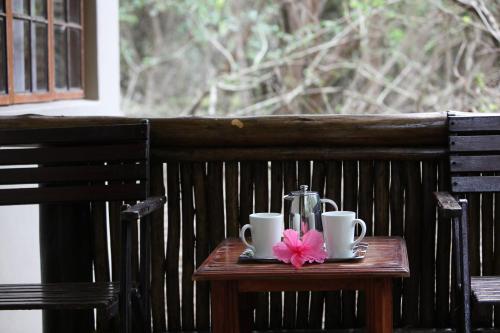 Emdoneni Lodge with Zululand Cat Conservation Project Emdoneni Lodge with Zululand Cat Conservation Project