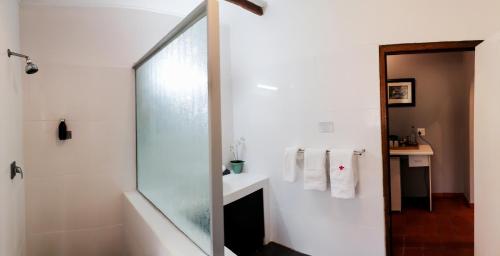 Emdoneni Lodge with Zululand Cat Conservation Project Emdoneni Lodge with Zululand Cat Conservation Project