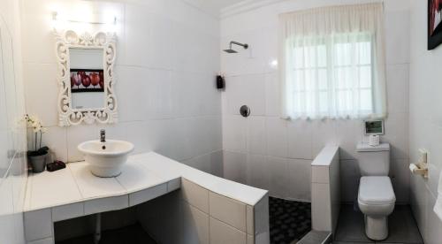 Emdoneni Lodge with Zululand Cat Conservation Project Emdoneni Lodge with Zululand Cat Conservation Project