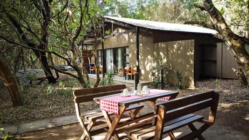 Emdoneni Lodge with Zululand Cat Conservation Project Emdoneni Lodge with Zululand Cat Conservation Project