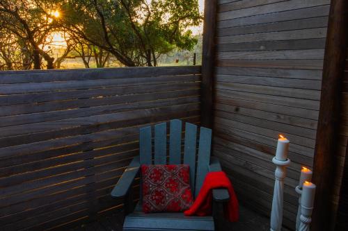 Emdoneni Lodge with Zululand Cat Conservation Project Emdoneni Lodge with Zululand Cat Conservation Project