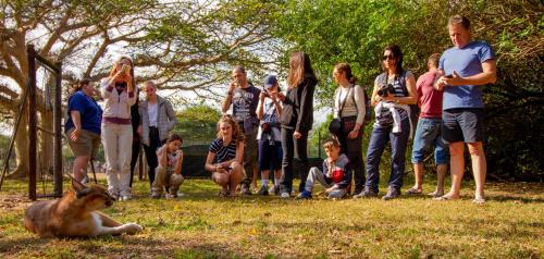 Emdoneni Lodge with Zululand Cat Conservation Project Emdoneni Lodge with Zululand Cat Conservation Project