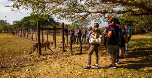 Emdoneni Lodge with Zululand Cat Conservation Project Emdoneni Lodge with Zululand Cat Conservation Project