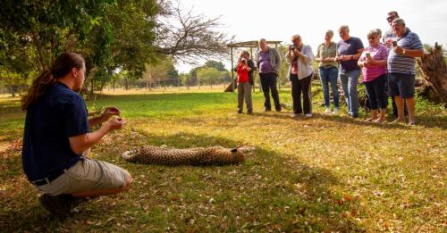 Emdoneni Lodge with Zululand Cat Conservation Project Emdoneni Lodge with Zululand Cat Conservation Project
