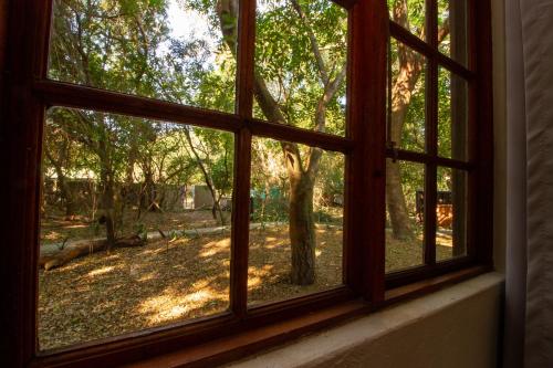 Emdoneni Lodge with Zululand Cat Conservation Project Emdoneni Lodge with Zululand Cat Conservation Project