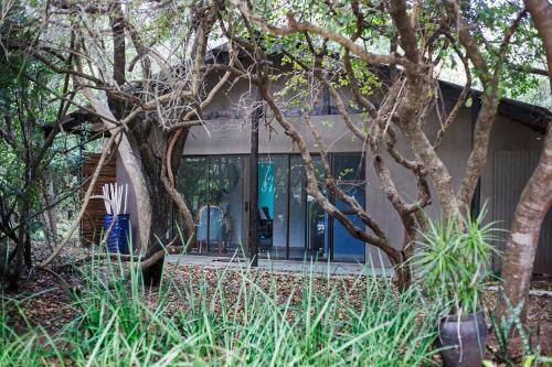 Emdoneni Lodge with Zululand Cat Conservation Project Emdoneni Lodge with Zululand Cat Conservation Project