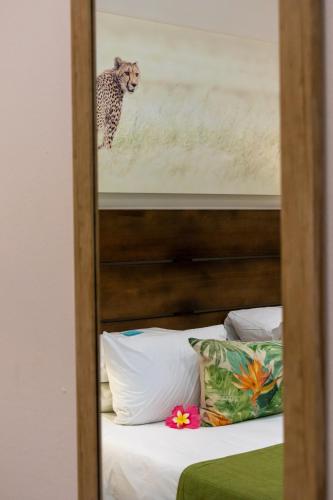 Emdoneni Lodge with Zululand Cat Conservation Project Emdoneni Lodge with Zululand Cat Conservation Project