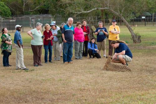 Emdoneni Lodge with Zululand Cat Conservation Project Emdoneni Lodge with Zululand Cat Conservation Project
