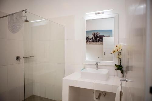 Emdoneni Lodge with Zululand Cat Conservation Project Emdoneni Lodge with Zululand Cat Conservation Project