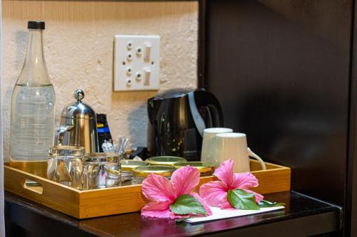 Emdoneni Lodge with Zululand Cat Conservation Project Emdoneni Lodge with Zululand Cat Conservation Project