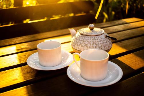 Emdoneni Lodge with Zululand Cat Conservation Project Emdoneni Lodge with Zululand Cat Conservation Project