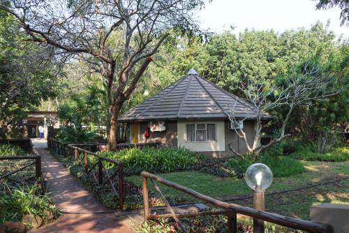 Emdoneni Lodge with Zululand Cat Conservation Project Emdoneni Lodge with Zululand Cat Conservation Project