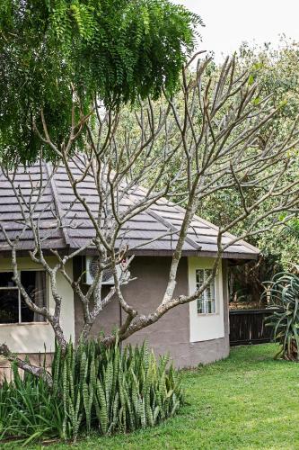 Emdoneni Lodge with Zululand Cat Conservation Project Emdoneni Lodge with Zululand Cat Conservation Project