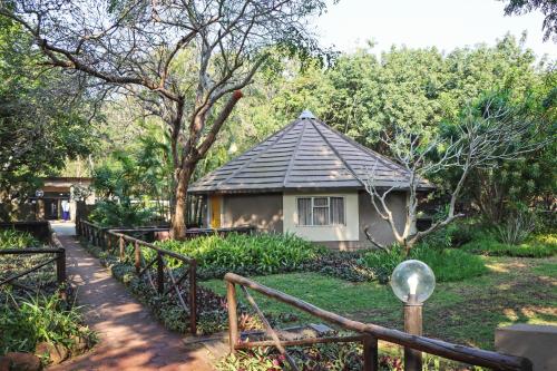 Emdoneni Lodge with Zululand Cat Conservation Project Emdoneni Lodge with Zululand Cat Conservation Project