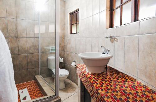 Emdoneni Lodge with Zululand Cat Conservation Project Emdoneni Lodge with Zululand Cat Conservation Project