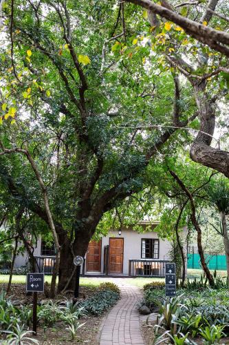 Emdoneni Lodge with Zululand Cat Conservation Project Emdoneni Lodge with Zululand Cat Conservation Project