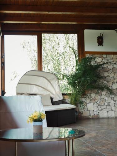 Hanu lui Gica Spa in Satu Mare