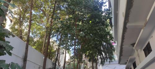 F2 duplex proche corniches plages et promenades in Annaba