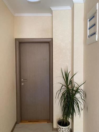 Apartmani M&M 2022