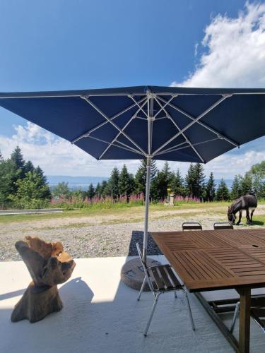 Appartement Atypique Saxel in Burdignin