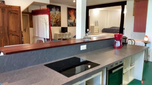 Logement spacieux et original proche gare au RDC in La Metairie