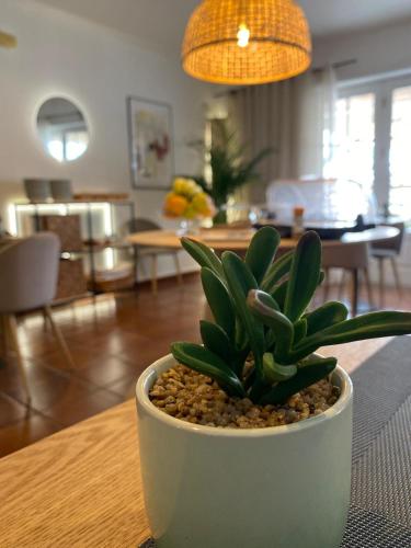 Hotel Residencial Dora - image 13