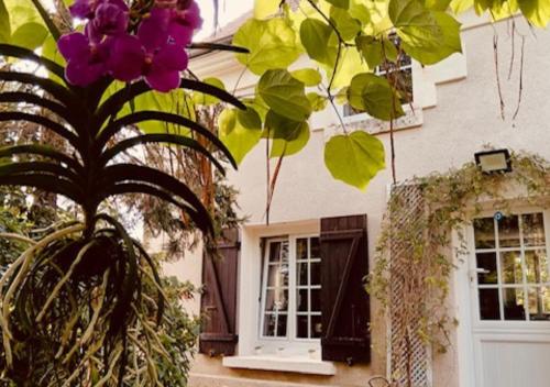 LE JARDIN DE LA PICHONNERIE Chambres d'hôtes chambre d'hôte Mareuil-sur-Cher