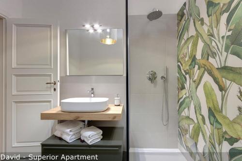 Superior Apartment image 10