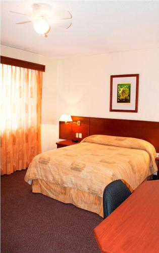 Hotel Marcella Clase Ejecutiva in Morelia, Mexico