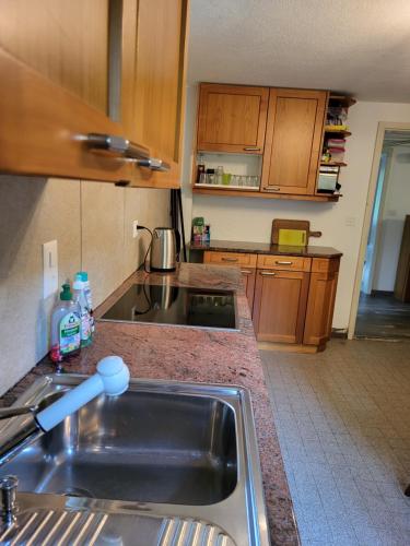 บริการและสิ่งอำนวยความสะดวก, Ferienhaus Bärschwendi (Ferienhaus Barschwendi) in ลุงแงร์น