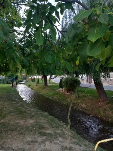 2Rivers in Sasciori