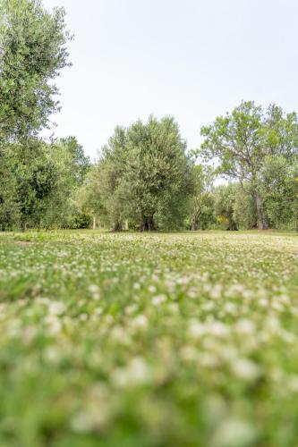 Villa Domus Papi by Great Stays