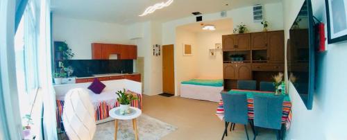 Free Parking - Green studio Apartment - private - ground floor - Near Center, Prague (photo 8)