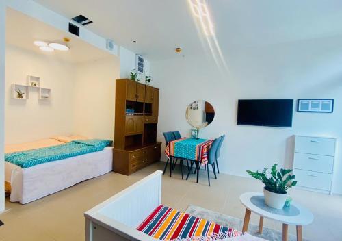 Free Parking - Green studio Apartment - private - ground floor - Near Center, Prague (photo 9)