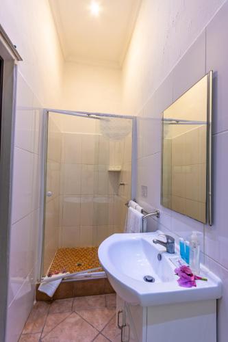 Emdoneni Lodge with Zululand Cat Conservation Project Emdoneni Lodge with Zululand Cat Conservation Project