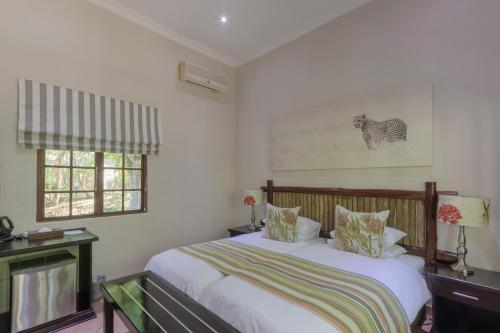 Emdoneni Lodge with Zululand Cat Conservation Project Emdoneni Lodge with Zululand Cat Conservation Project