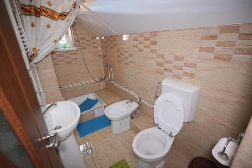Casa Ion - image 12