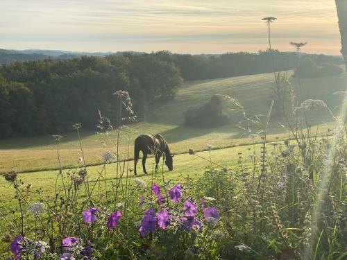 Domaine de Cazal - Chambres d'Hôtes avec piscine au cœur de 26 hectares de nature préservée 4