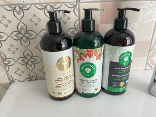 Zuhanyzó, Molo 4 appartment in Giruliai