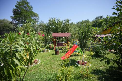 Casa Ion - main image