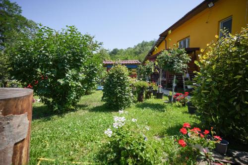 Casa Ion - image 5