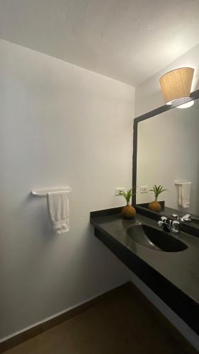 Standard Double Room image 7
