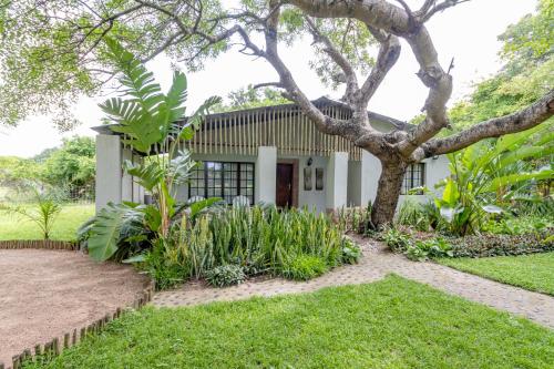 Emdoneni Lodge with Zululand Cat Conservation Project Emdoneni Lodge with Zululand Cat Conservation Project