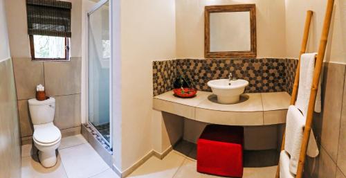 Emdoneni Lodge with Zululand Cat Conservation Project Emdoneni Lodge with Zululand Cat Conservation Project